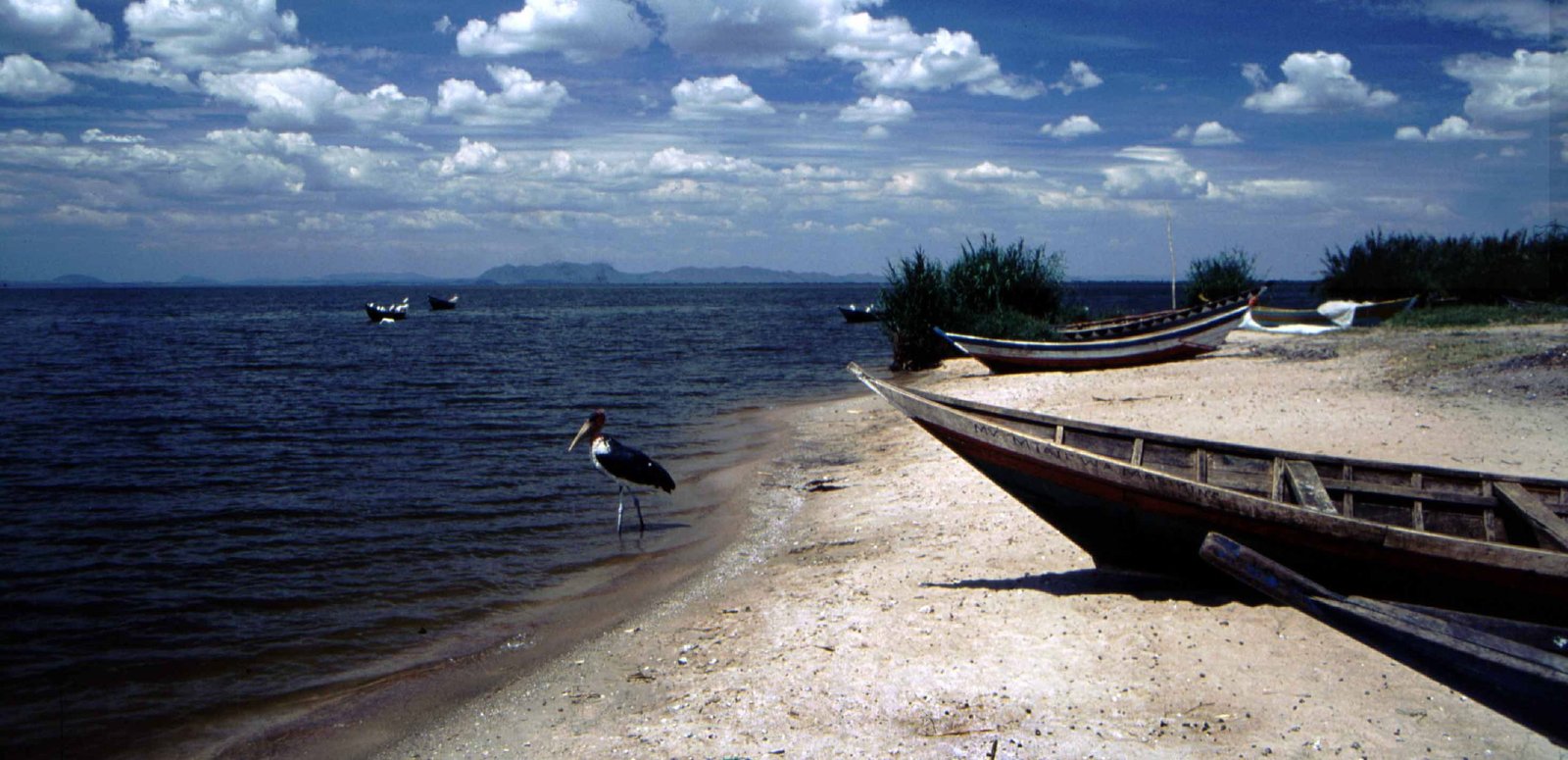 Climate Change Impact on Lake Victoria